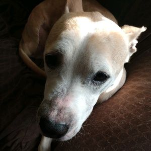 Meet your Posher, June